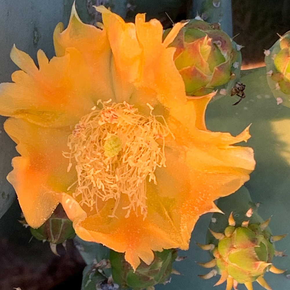 Meet your Posher, Ya